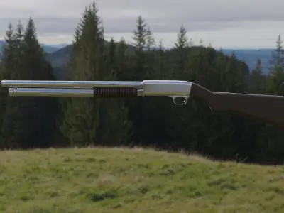 Shotgun in field Free 3D model