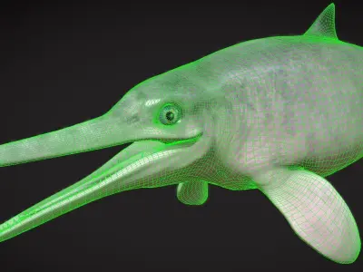 Ophthalmosaurus Low-poly 3D model