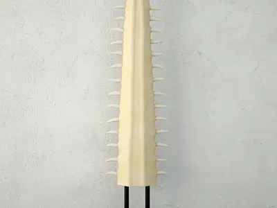 Spine-Shaped Figurine by ZARA HOME 3D model