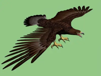 GoldenEagle eagle 3D model