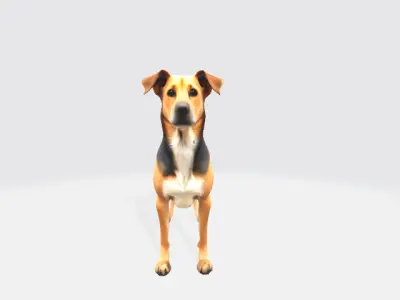 German dog 3D model