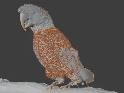 Parrot Rigged Low-poly 3D model