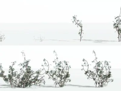 EVERYPlant Baiera 1 --14 Models-- 3D model