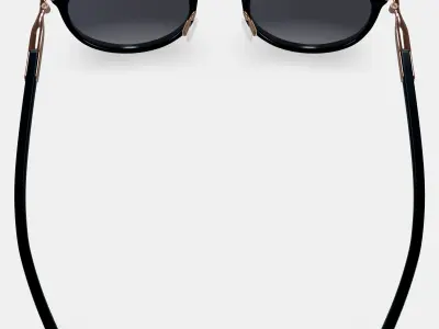 Whittier Sunglasses in Jet Black with Polished Gold 3D model