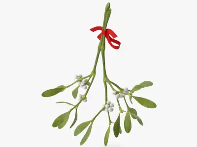 Mistletoe with Red Bow 2 3D model