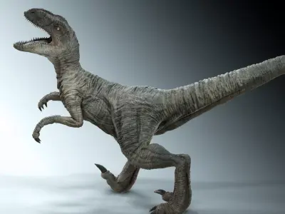 Velociraptor Low-poly 3D model