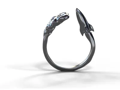 High-Quality 3D Ring Jet Model Low-poly 3D model