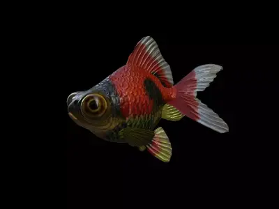 FISH-006 Goldfish 3D model