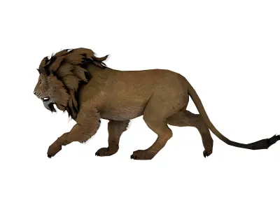 Realistic Lion 3D Model Game Ready  Wild Jungle Animal Low-poly 3D model