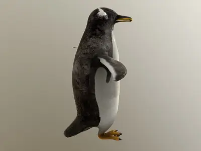 Penguin Gentoo - Antartic Low-poly 3D model
