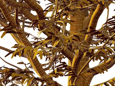 Mountain Ash Tree 12 3D model