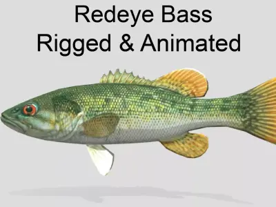 Redeye Bass Realistic Animated Low-poly 3D model