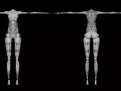 Cyborg Girl Skeleton - Fully Rigged 3D model