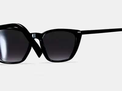 Janelle Sunglasses in Jet Black 3D model