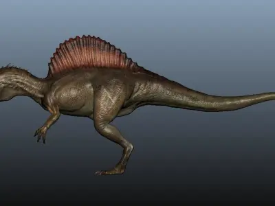 Spinosaurus dinosaur 3D model