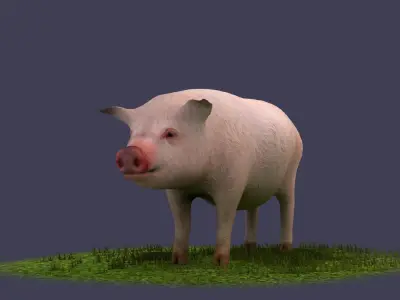 Pig wild Farm Teeth Eyes Trousers Dress Animals mammal 3D model