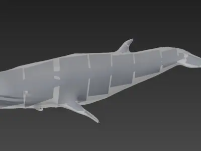 Blue Whale 3D model