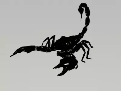 SCORPION LOW POLY 3D model