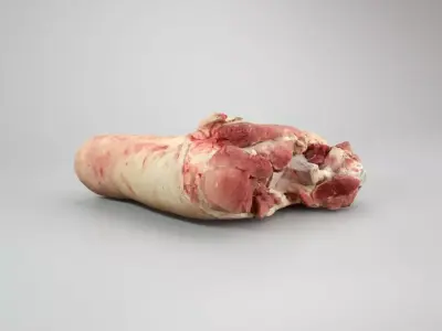 Raw Pig Leg Part Low-poly 3D model