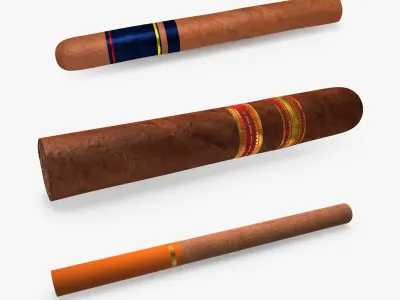 Cigars Collection 3D model