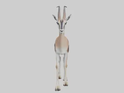 Thomsons gazelle Low-poly 3D model