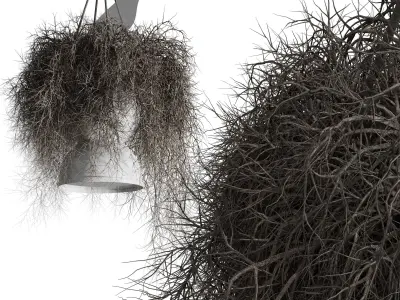 birds nest with pendant lights Low-poly 3D model