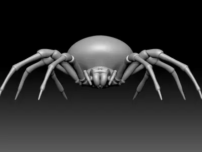 Garden Spider Low-poly 3D model