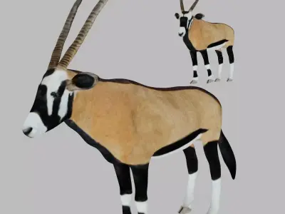 Oryx Antelope Low-poly 3D model