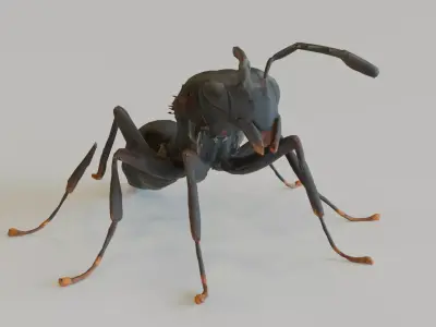 Hormiga Low-poly 3D model