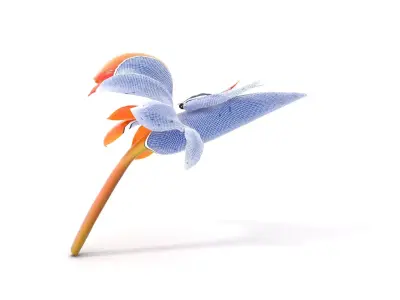 Vibrant Bird of Paradise model pack Low-poly 3D model