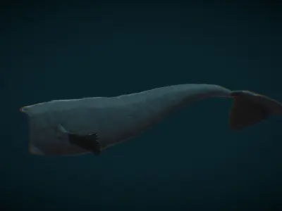 Bloop Free 3D model