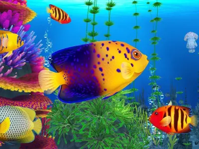 Marine Angelfish Low-poly 3D model