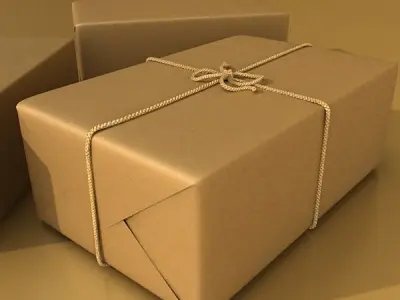 Cardboard Box Wrapped in Brown Paper - Package 3D model