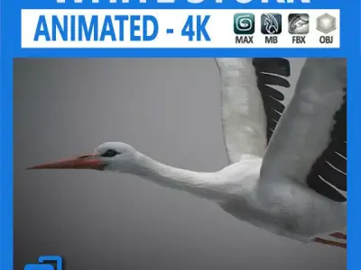 Animated Stork 3D model