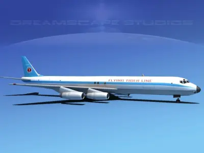 Douglas DC-8-63F Hunt Cargo 3D model