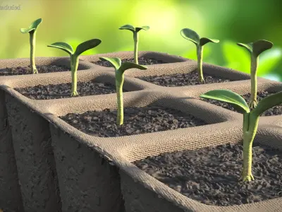 Seedling Collection 3D model