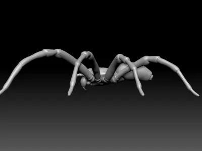 Hunstman Spider Low-poly 3D model