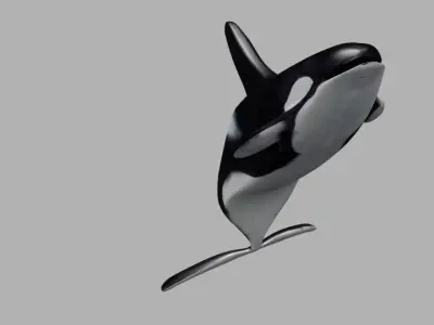 Killer Whale Animate and Rigged Low-poly 3D model