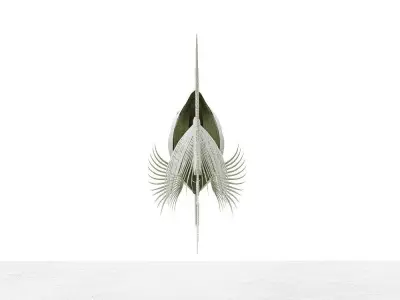 fish bone Low-poly 3D model