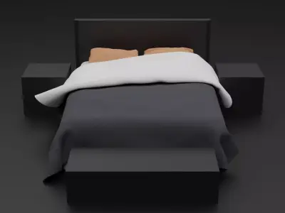 Minimalism Bed Design Free 3D model