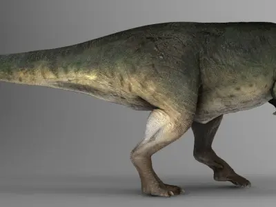 Giganotosaurus Low-poly 3D model