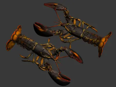 Crayfish 3D model
