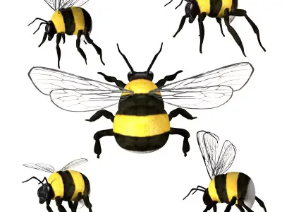 Bumblebee bee Low-poly 3D model