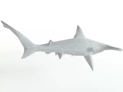 Hammerhead Shark Low Poly Predator Jaws Lowpoly Low-poly 3D model