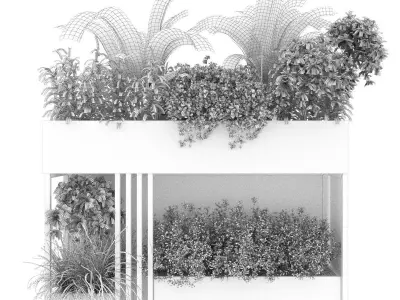 Collection plant vol 241 Free 3D model