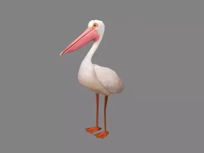 Cartoon pelican Low-poly 3D model