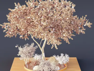 HQ Tree and bush garden box outdoor VOL 01 Free 3D model