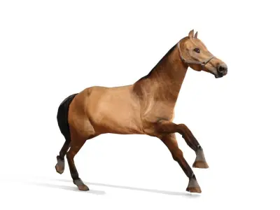 Horse 3D Model galloping Low-poly 3D model
