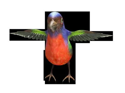 Bunting Bird Low-poly 3D model