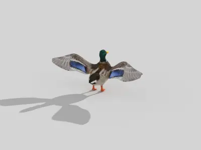 Ducks two Low-poly 3D model